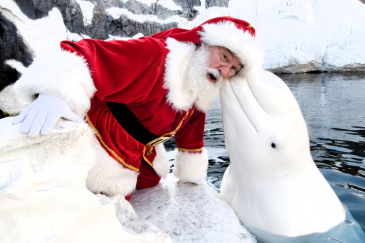 �1765006 �������(a): ����������:4200x2790